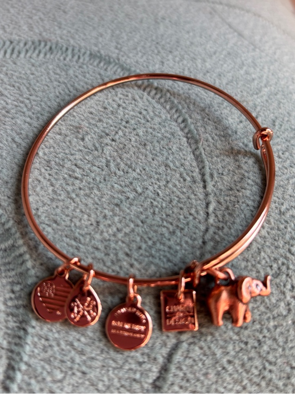 Alex and Ani Rose Gold Elephant Charm Bangle